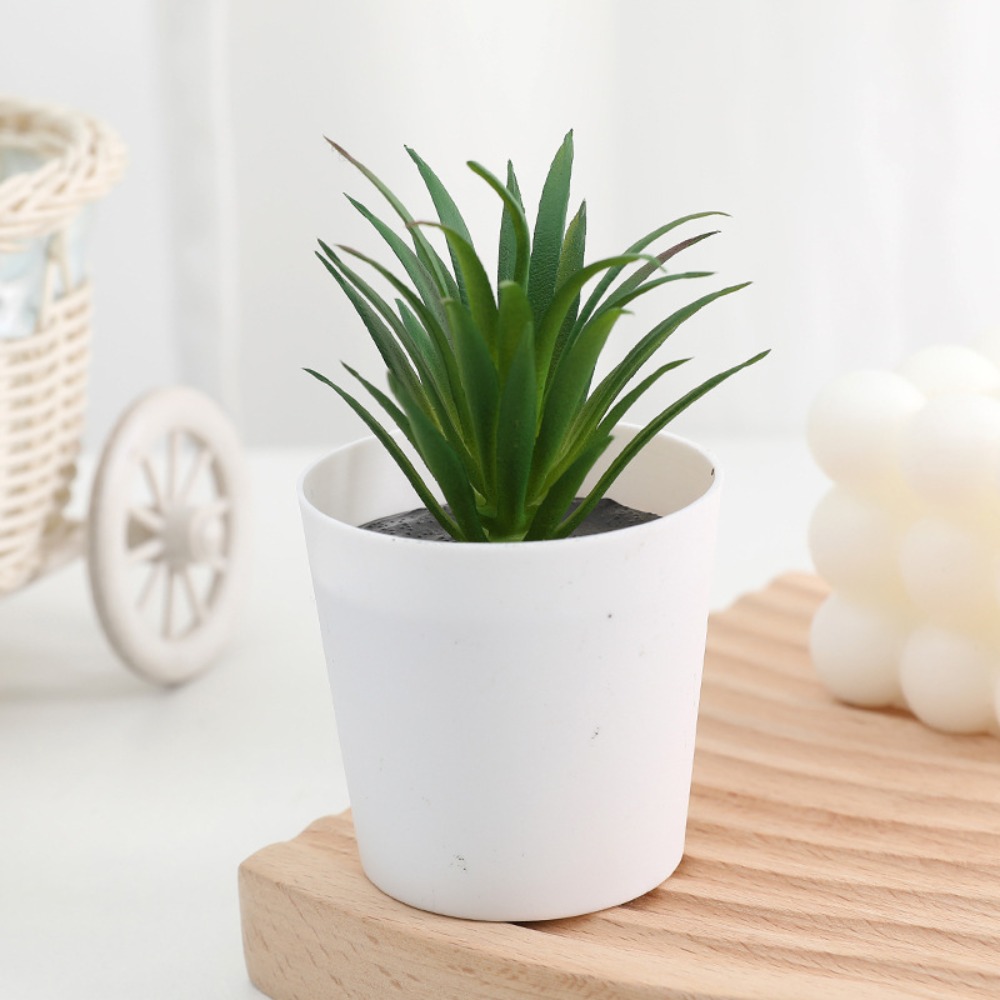 Plant Desk Mini - الصبار عصاري الاصطناعي عصاري بونساي مكتب