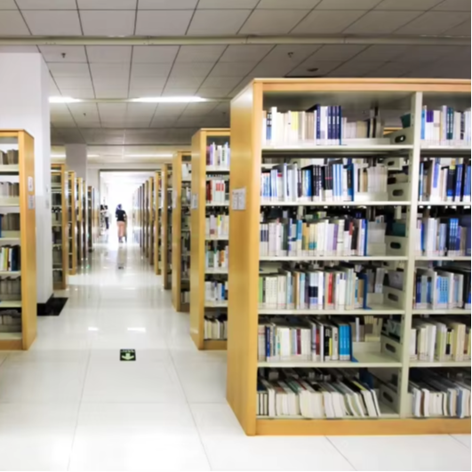 Home Office And Library - أرفف كتب مزدوجة الجوانب مباشرة من