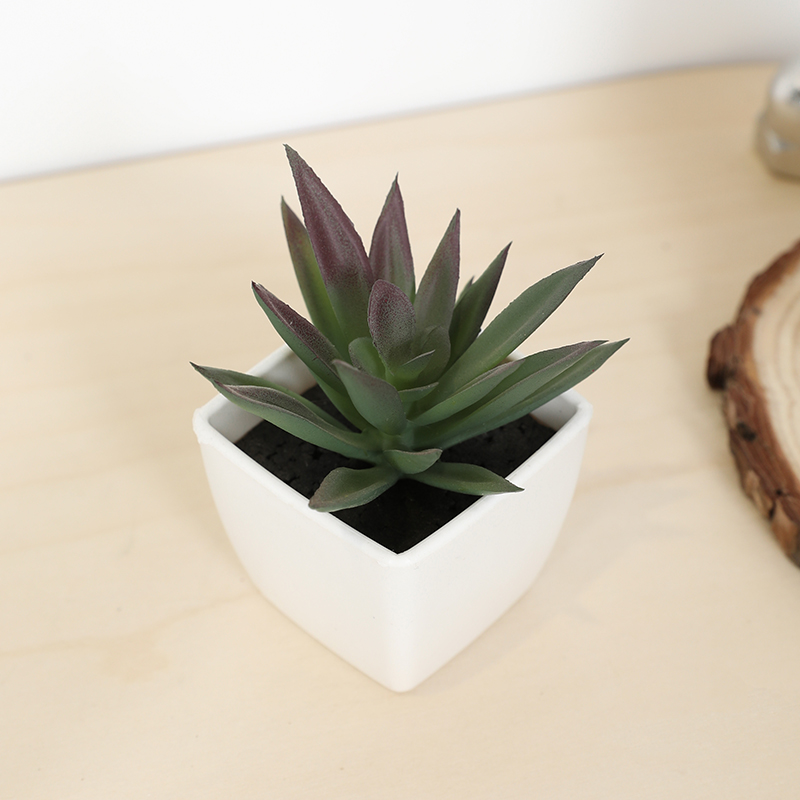 Plant Desk Mini - كوب خرافي صناعي صغير، نبات صغير