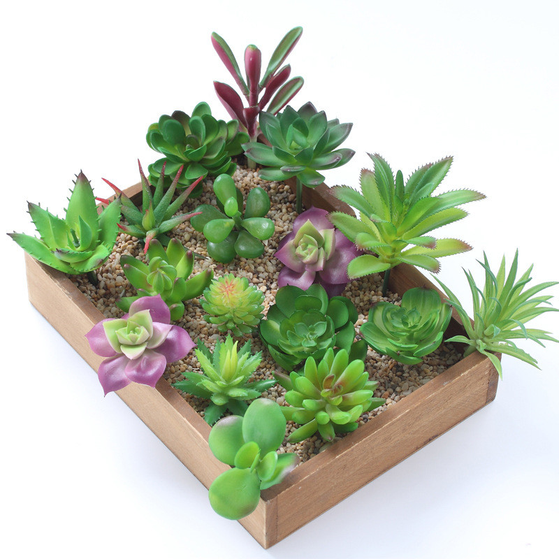 نباتات عصارية اصطناعية 2021 دي - مراجعة Plant Desk Mini وسعره