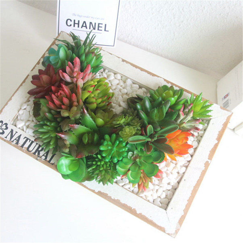 نباتات عصارية اصطناعية 2021 دي - مراجعة Plant Desk Mini وسعره