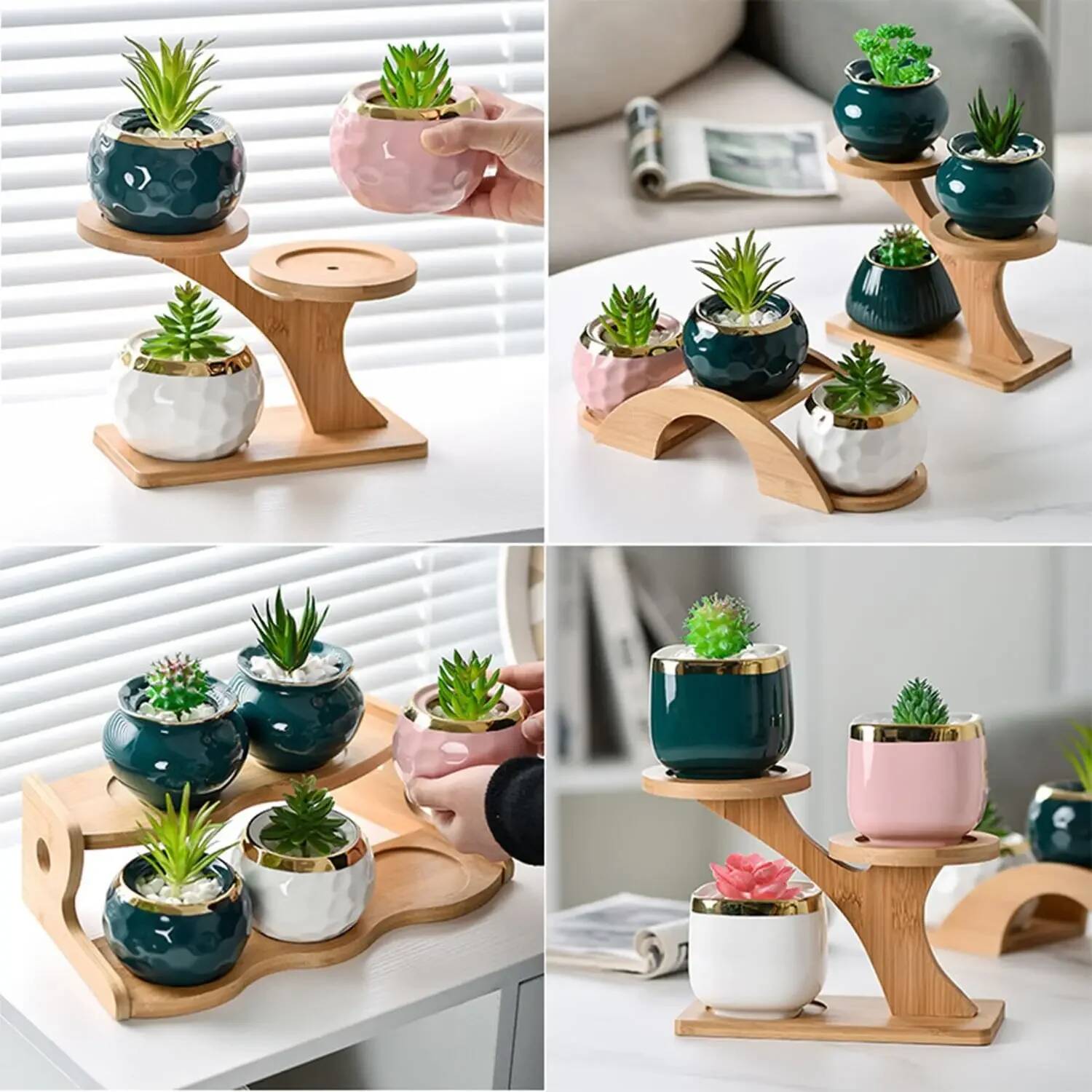حامل نباتات صغير لعتبة النافذة - مراجعة Plant Desk Mini وسعره