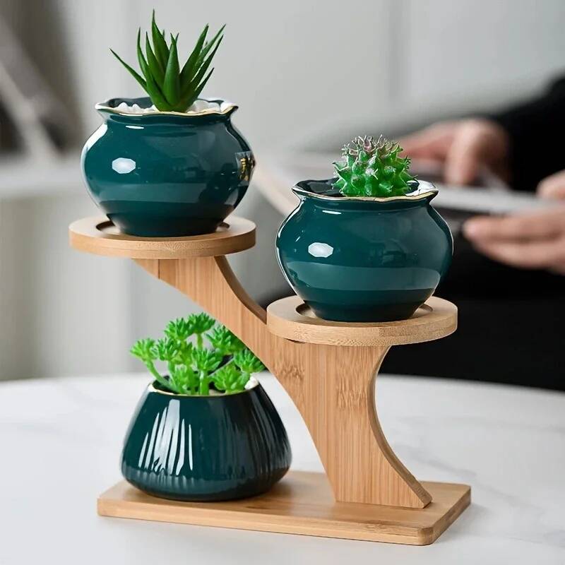 حامل نباتات صغير لعتبة النافذة - مراجعة Plant Desk Mini وسعره