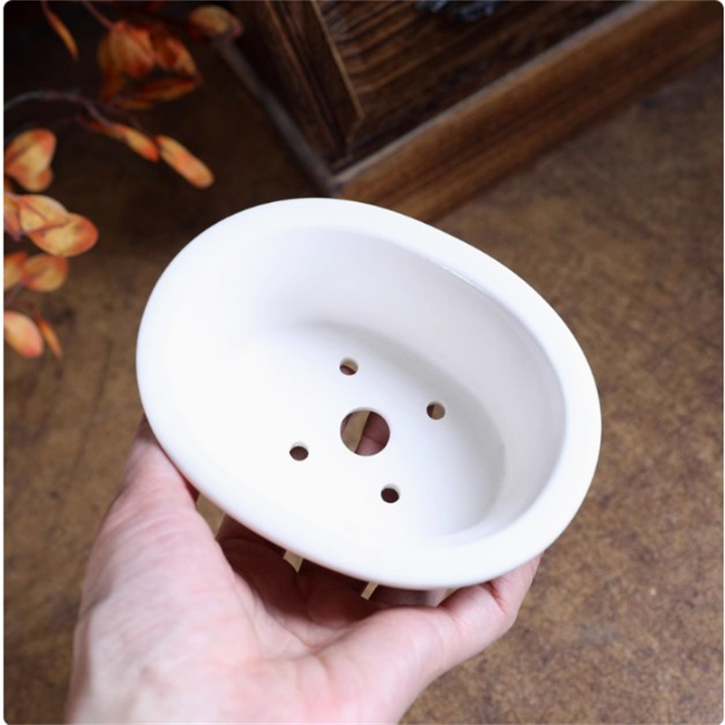 وعاء بونساي بيضاوي أبيض من الب - مراجعة Plant Desk Mini وسعره