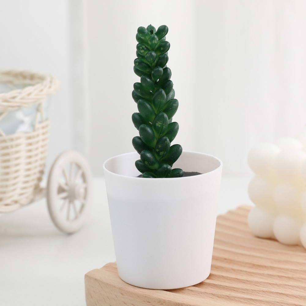 الصبار عصاري الاصطناعي عصاري ب - مراجعة Plant Desk Mini وسعره