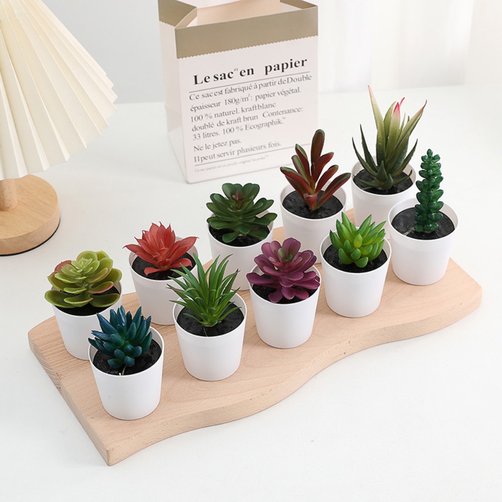 الصبار عصاري الاصطناعي عصاري ب - مراجعة Plant Desk Mini وسعره