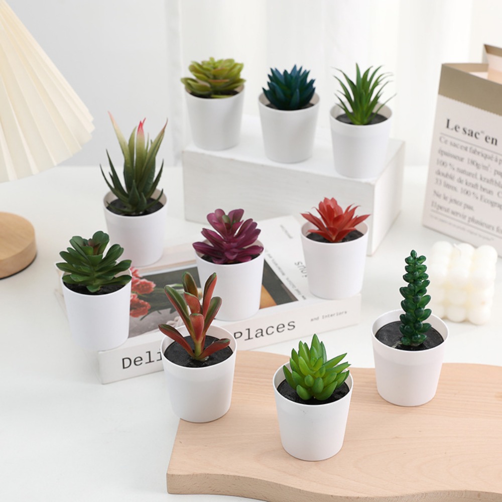 الصبار عصاري الاصطناعي عصاري ب - مراجعة Plant Desk Mini وسعره