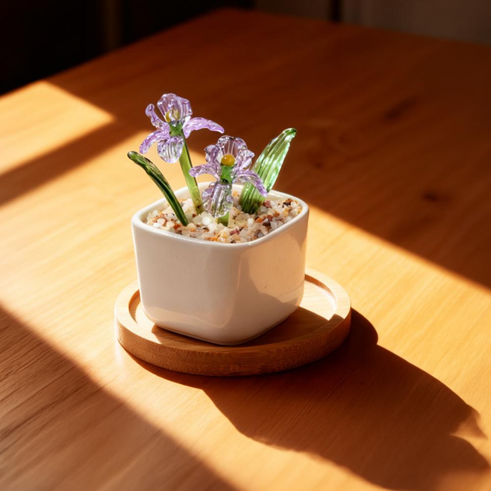 نباتات عصارية مزروعة في أصص زج - مراجعة Plant Desk Mini وسعره