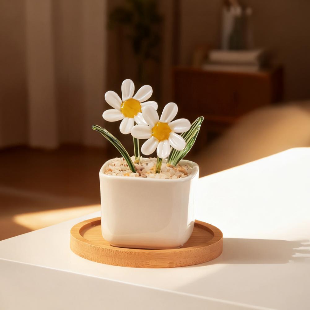 نباتات عصارية مزروعة في أصص زج - مراجعة Plant Desk Mini وسعره
