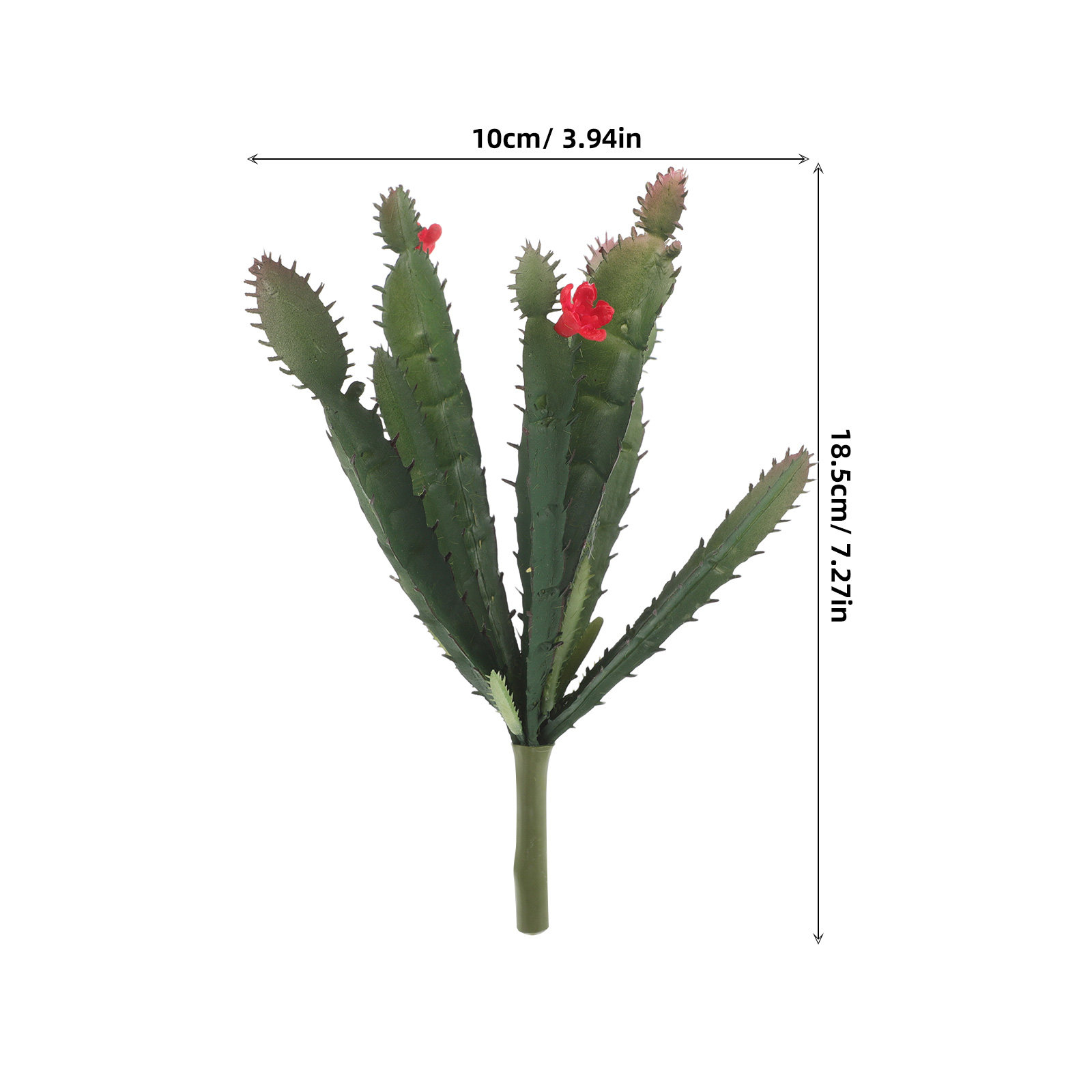ترتيب زهور صبار اصطناعية صغيرة - مراجعة Plant Desk Mini وسعره