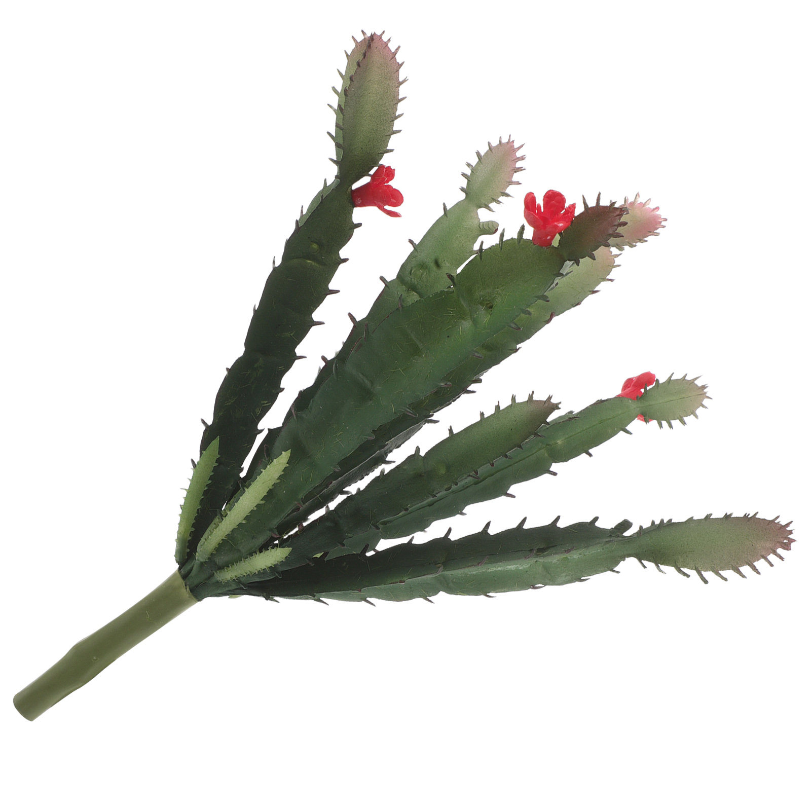 ترتيب زهور صبار اصطناعية صغيرة - مراجعة Plant Desk Mini وسعره