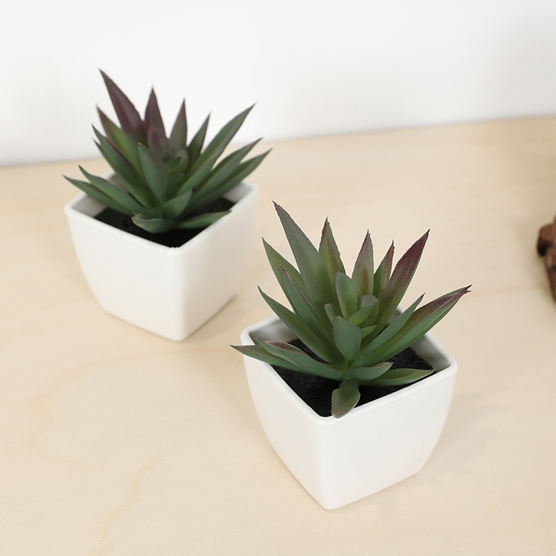 كوب خرافي صناعي صغير، نبات صغي - مراجعة Plant Desk Mini وسعره
