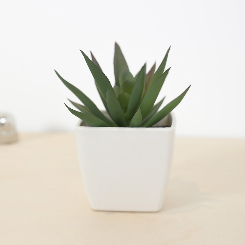 كوب خرافي صناعي صغير، نبات صغي - مراجعة Plant Desk Mini وسعره
