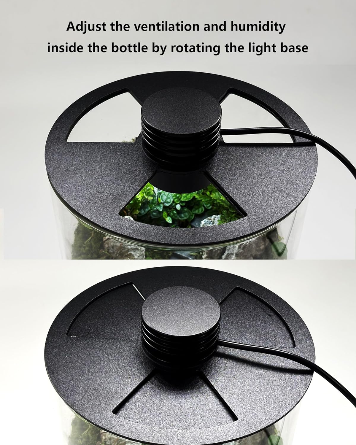 حوض زجاجي داخلي مع إضاءة نمو ا - مراجعة Home Office Lamp وسعره